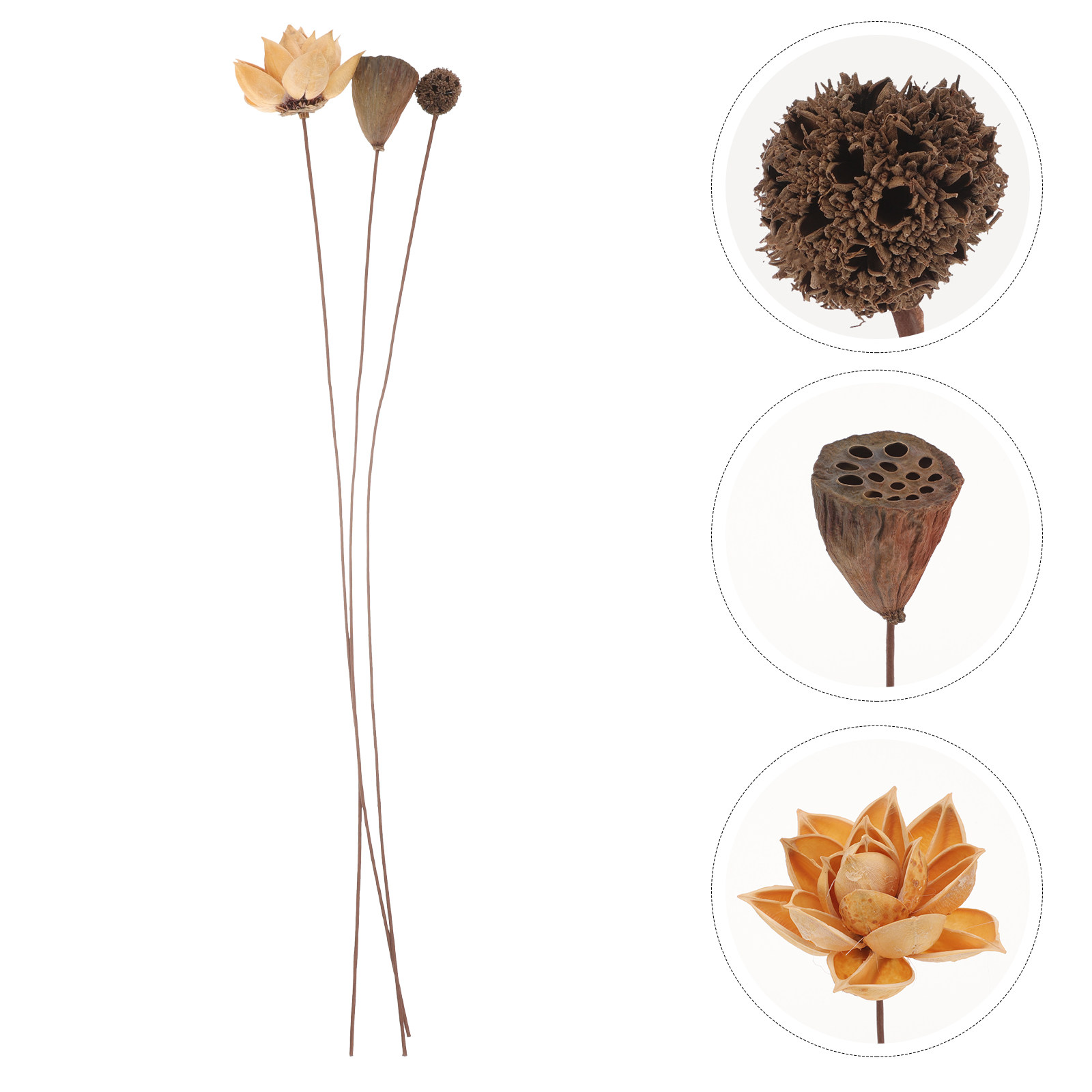 Home Decor Zen Style - 1Set Dried Lotus Flower Home Decor