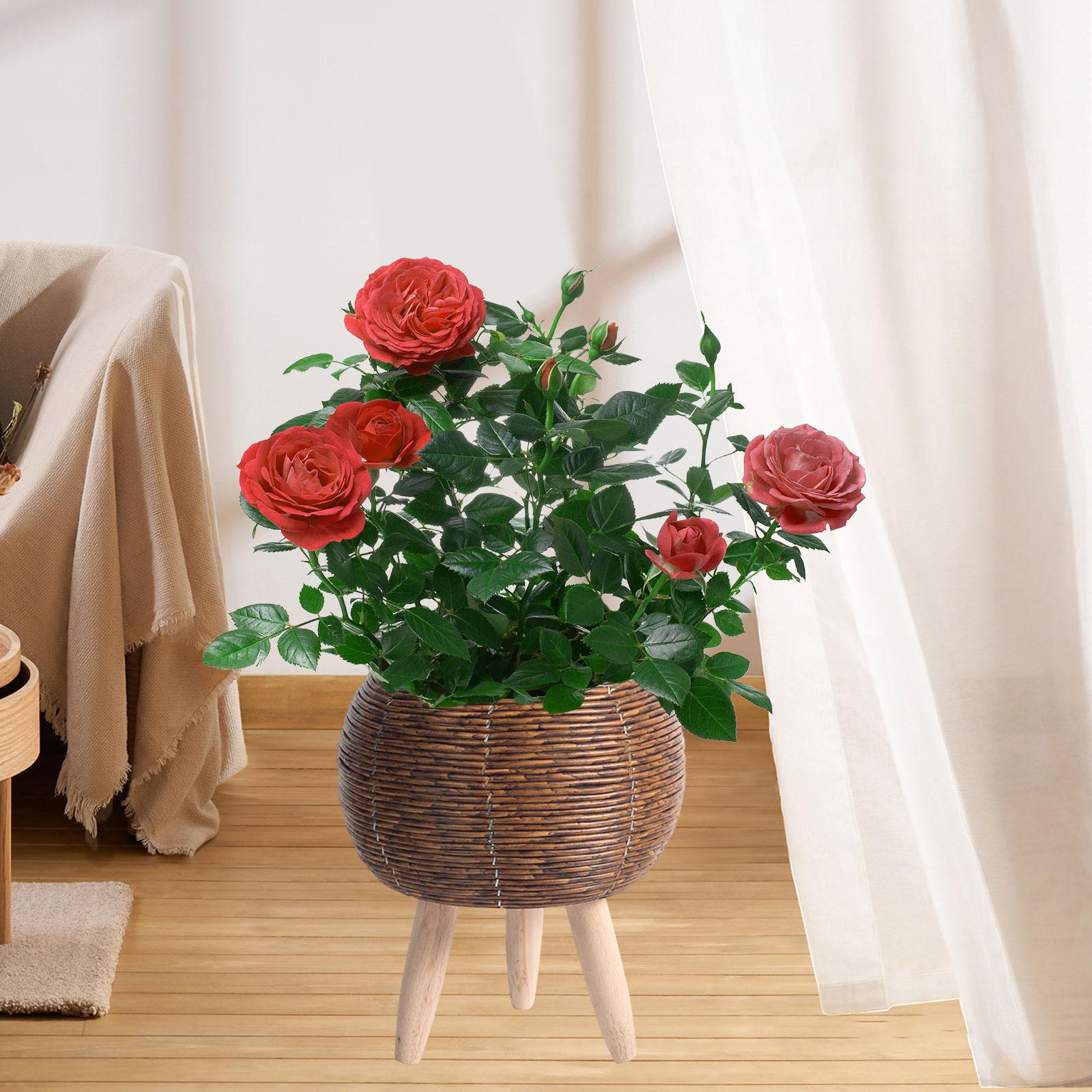 Woven Basket with Stand Indoor - огляд і ціна Home Decor Rattan