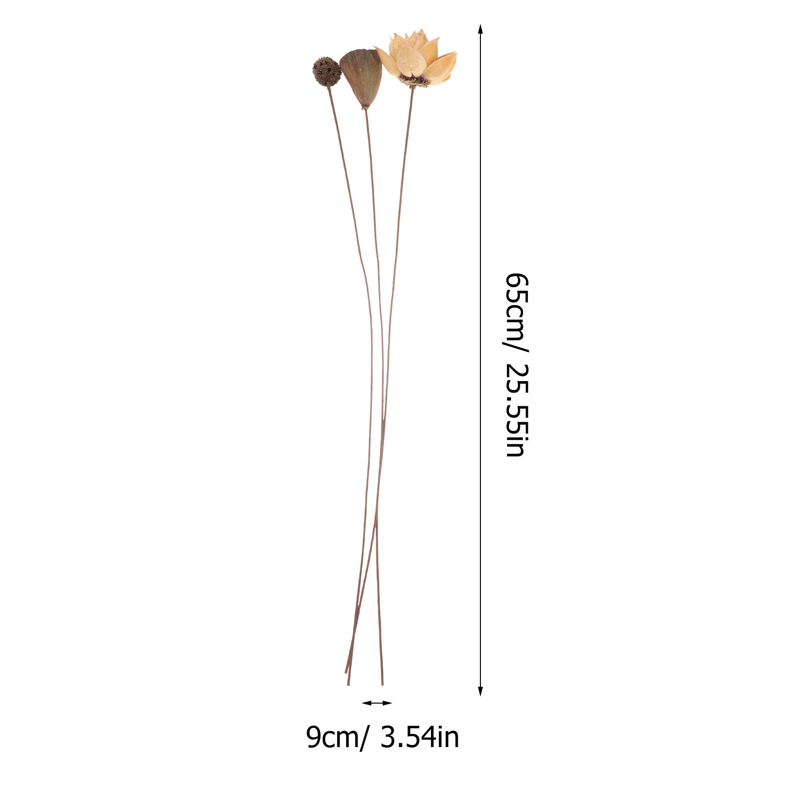 1Set Dried Lotus Flower Home D - огляд і ціна Home Decor Zen Style