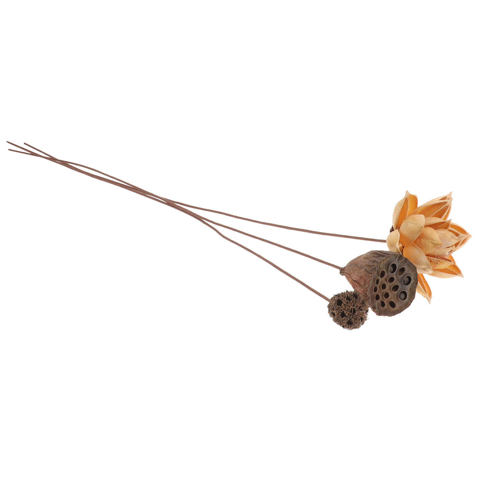 1Set Dried Lotus Flower Home D - огляд і ціна Home Decor Zen Style