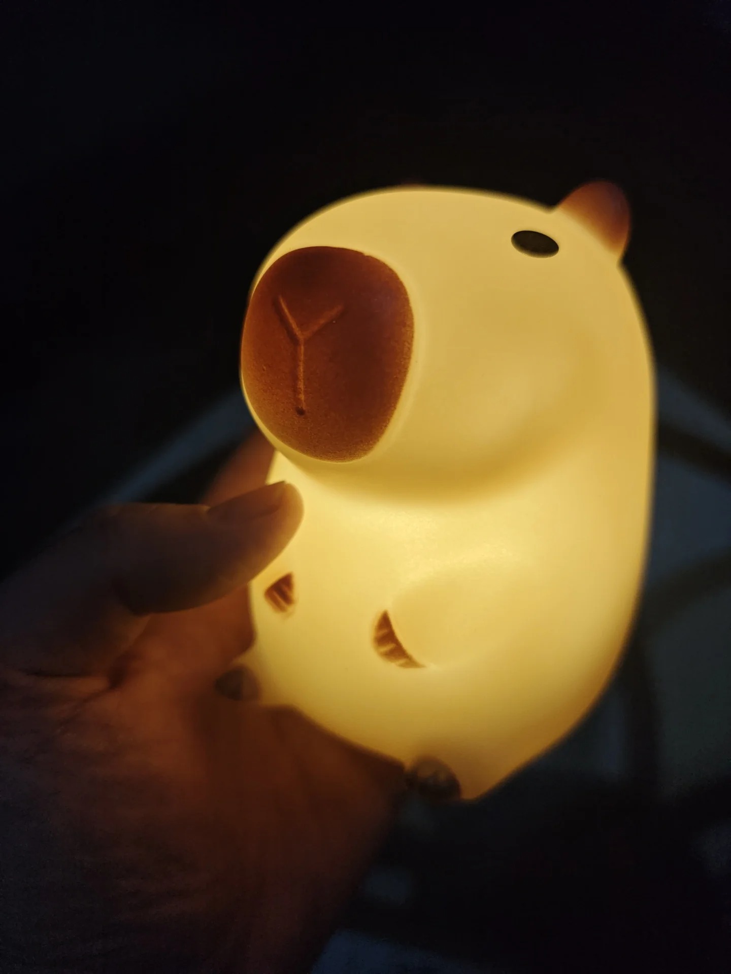 Cute Pet Capybara Night Light  - огляд і ціна Home Decor On Sale