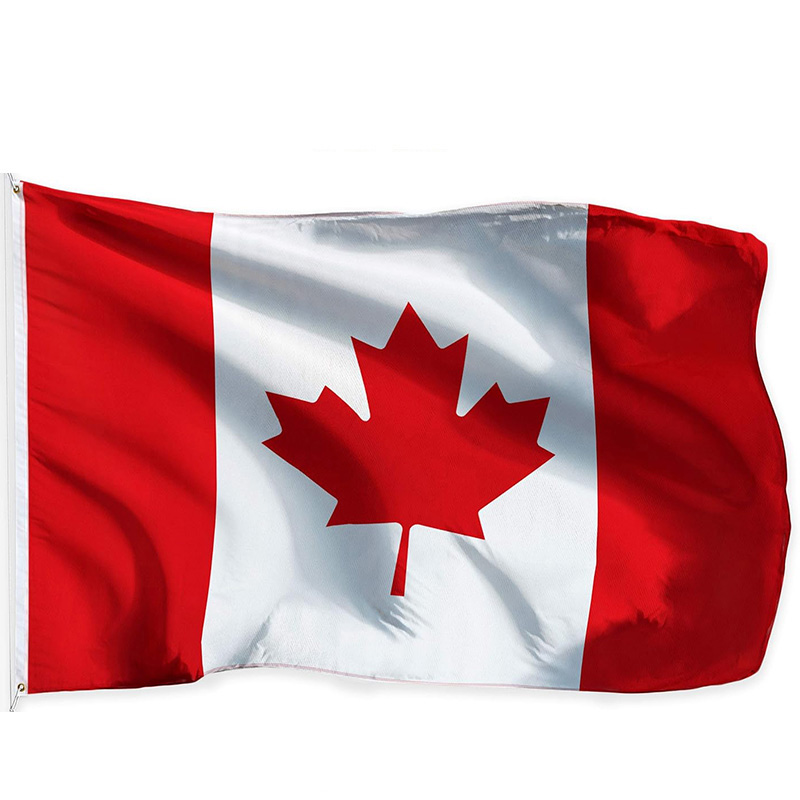 2026 World Group B Canada Bosn - огляд і ціна Home Decor Qatar