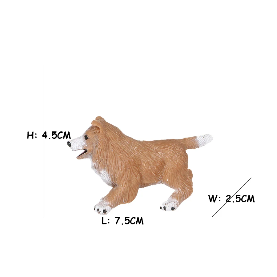 Golden Retriever Corgi Shiba I - огляд і ціна Review Home Decor
